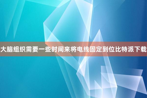 大脑组织需要一些时间来将电线固定到位比特派下载