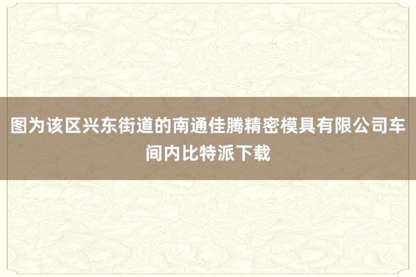 图为该区兴东街道的南通佳腾精密模具有限公司车间内比特派下载