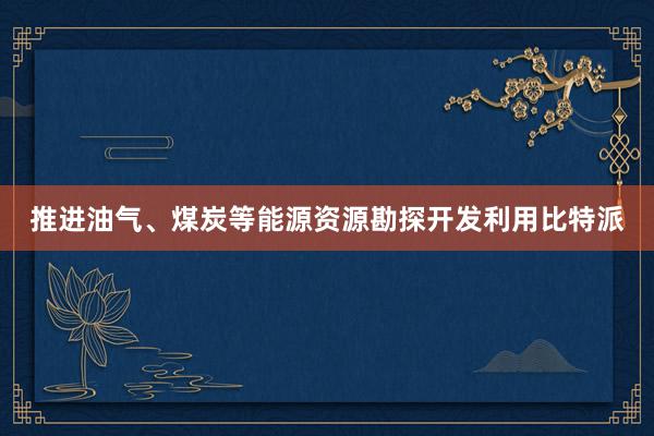 推进油气、煤炭等能源资源勘探开发利用比特派