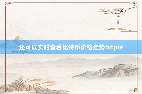 还可以实时查看比特币价格走势bitpie