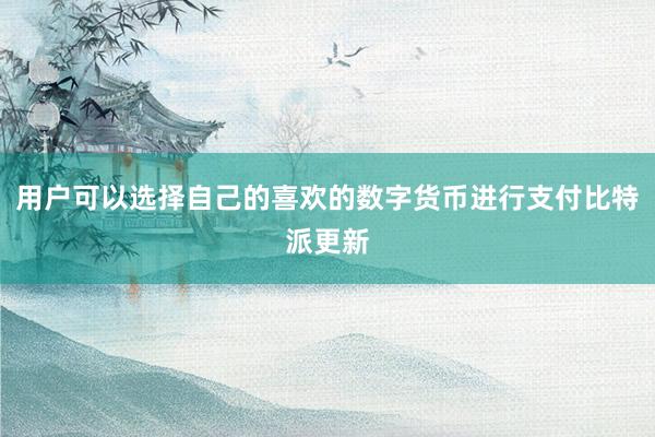 用户可以选择自己的喜欢的数字货币进行支付比特派更新