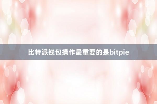 比特派钱包操作最重要的是bitpie