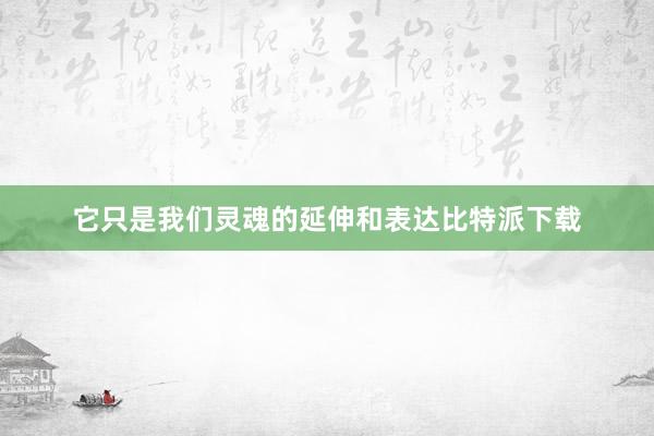 它只是我们灵魂的延伸和表达比特派下载