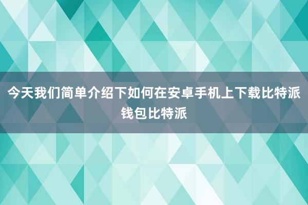 今天我们简单介绍下如何在安卓手机上下载比特派钱包比特派