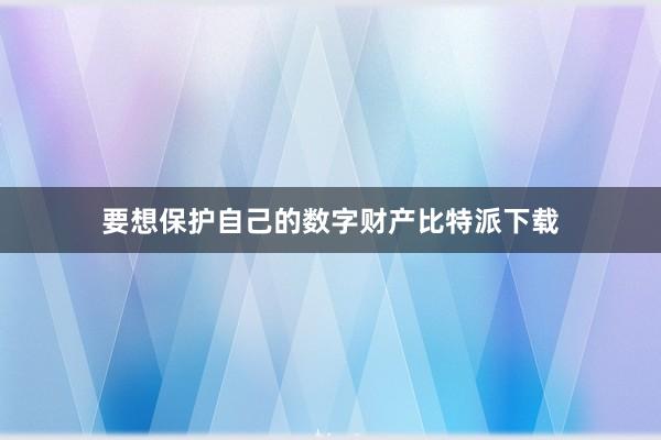 要想保护自己的数字财产比特派下载