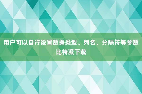 用户可以自行设置数据类型、列名、分隔符等参数比特派下载