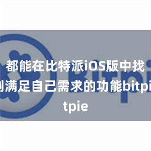 都能在比特派iOS版中找到满足自己需求的功能bitpie