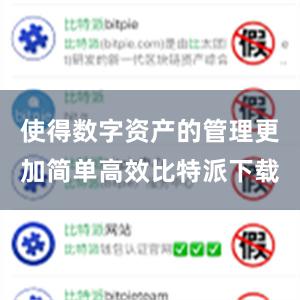 使得数字资产的管理更加简单高效比特派下载