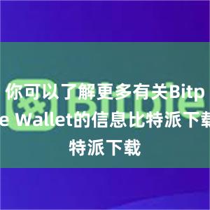 你可以了解更多有关Bitpie Wallet的信息比特派下载