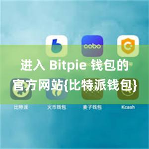 进入 Bitpie 钱包的官方网站{比特派钱包}