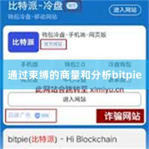 通过束缚的商量和分析bitpie